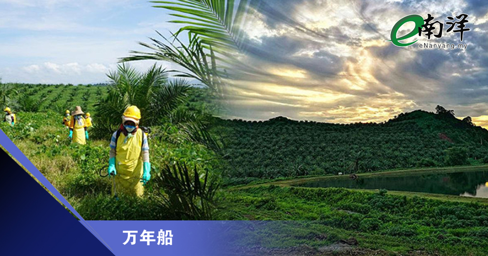 莫实得种植不良示范/万年船